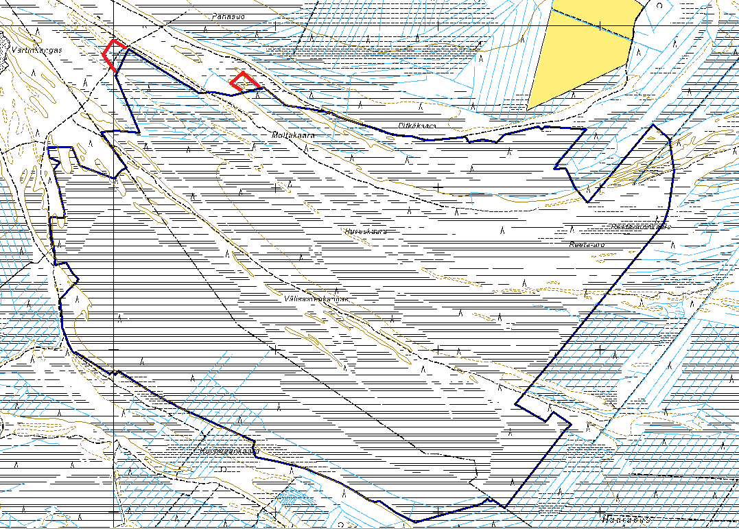 Yleensä pienet puutteet rajauksissa eivät estä kaikkia toimenpiteitä. Poikkeuksina tästä esim. tapaukset, joissa tärkeät kynnykset puhkaistu ojilla. Siikajoen-Lumijoen Haarasuo, Natura-rajaus n.