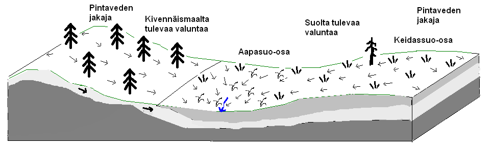 Keidassuo-osat sijoittuvat vedenjakajien tuntumaan.