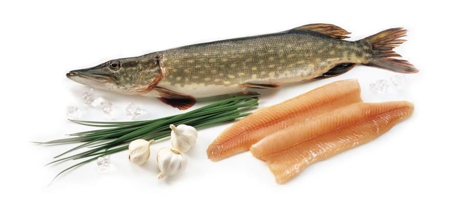 Tulevaisuuden mahdollisuudet Kalastajat - Tuoreen luonnonkalan kysynnän ja kuluttajan kalan arvostuksen kasvu - Järvikalan hyvä maine - Lähiruoka ja luonnonmukaisuus trendit - Jalostus ja suoramyynti