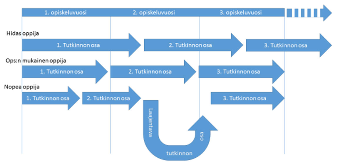 1.2 Opintojen järjestäminen yksilöllisesti ja joustavasti Henkilökohtainen opiskelusuunnitelma (HOPS) tukee opiskelijan urasuunnittelua ja kehittää itsearviointivalmiuksia.