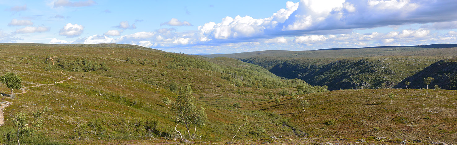 KEVON TUNTURIYLÄNGÖN MAISEMAT Maisema-alueen aikaisempi nimi ja arvoluokka: Ehdotettu arvoluokka: Valtakunnallisesti arvokas maisemanähtävyys Kunta: Utsjoki Pinta-ala: 620,7 ha Maisemaseutu: