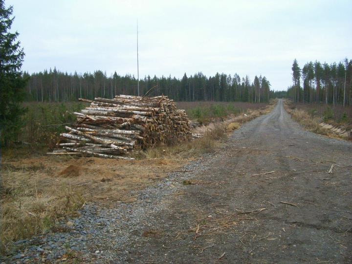 Tien itäpuolelle tehdyistä parista koekuopasta myös kvartseja. Löytöpaikalla oli paikalla käytäessä tukkipino ja löydöt osin tukkipinon alta ja liepeiltä ojasta.