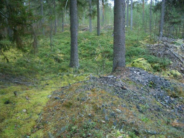 3300 00 Jussila & Rostedt 2009 inventointi Sijainti: Paikka sijaitsee Lapuan kirkosta 7,64 km etelään, laajan