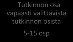 1.2 Opintojen järjestäminen yksilöllisesti ja joustavasti Henkilökohtainen opiskelusuunnitelma (HOPS) tukee opiskelijan urasuunnittelua ja kehittää itsearviointivalmiuksia.