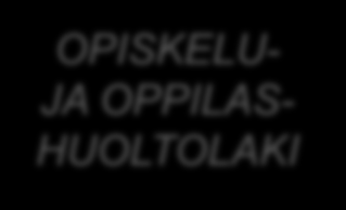 Sosiaalihuollon lainsäädäntö SOSIAALI- HUOLTO- SOSIAALI- HUOLLON ASIAKAS- LAPSEKSI- OTTAMI- SESTA ISYYS KEHITYS- VAMMA VAMMAIS- PALVELU- LAPSEN ELATUK- SESTA LAPSEN HUOLLOSTA JA TAP. OIKEUD.