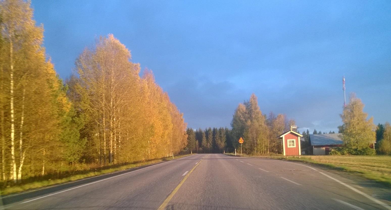 Ruokakierrokset ja luennot Makumatkalla Etelä-Savossa -opastuksella maistiaisineen Kulinaristijoogaa luentoa, joogaa, maistiaisia