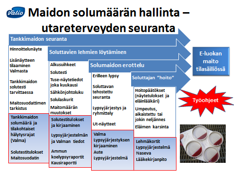 soluluvun perusteella, mutta maidossa alkaa tapahtua muutoksia soluluvun noustessa yli 100 000 kpl/ml.