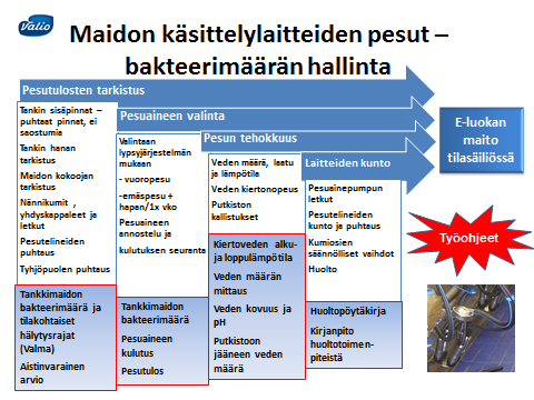 2.6 Maidon bakteerit Terveen lehmän utareessa muodostuvassa maidossa ei ole lainkaan bakteereja.