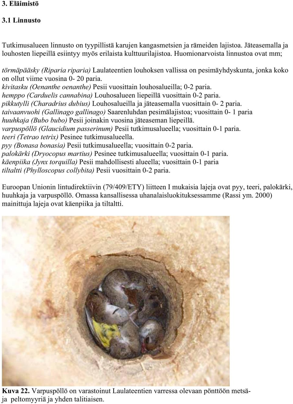 kivitasku (Oenanthe oenanthe) Pesii vuosittain louhosalueilla; 0-2 paria. hemppo (Carduelis cannabina) Louhosalueen liepeillä vuosittain 0-2 paria.