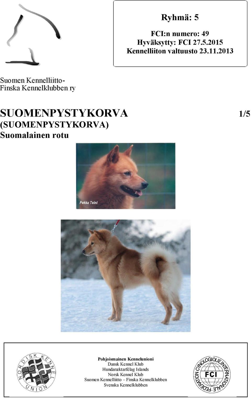 (SUOMENPYSTYKORVA) Suomalainen rotu Pohjoismainen Kennelunioni Dansk Kennel Klub