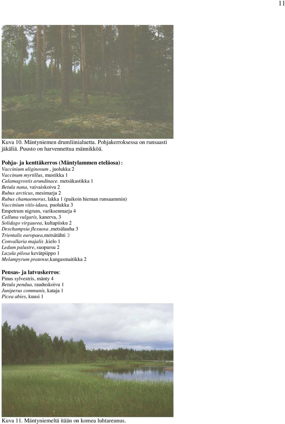 metsäkastikka 1 Betula nana, vaivaiskoivu 2 Rubus arcticus, mesimarja 2 Rubus chamaemorus, lakka 1 (paikoin hieman runsaammin) Vaccinium vitis-idaea, puolukka 3 Empetrum nigrum, variksenmarja 4