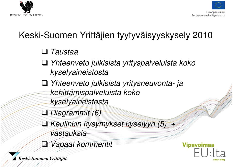 julkisista yritysneuvonta- ja kehittämispalveluista koko