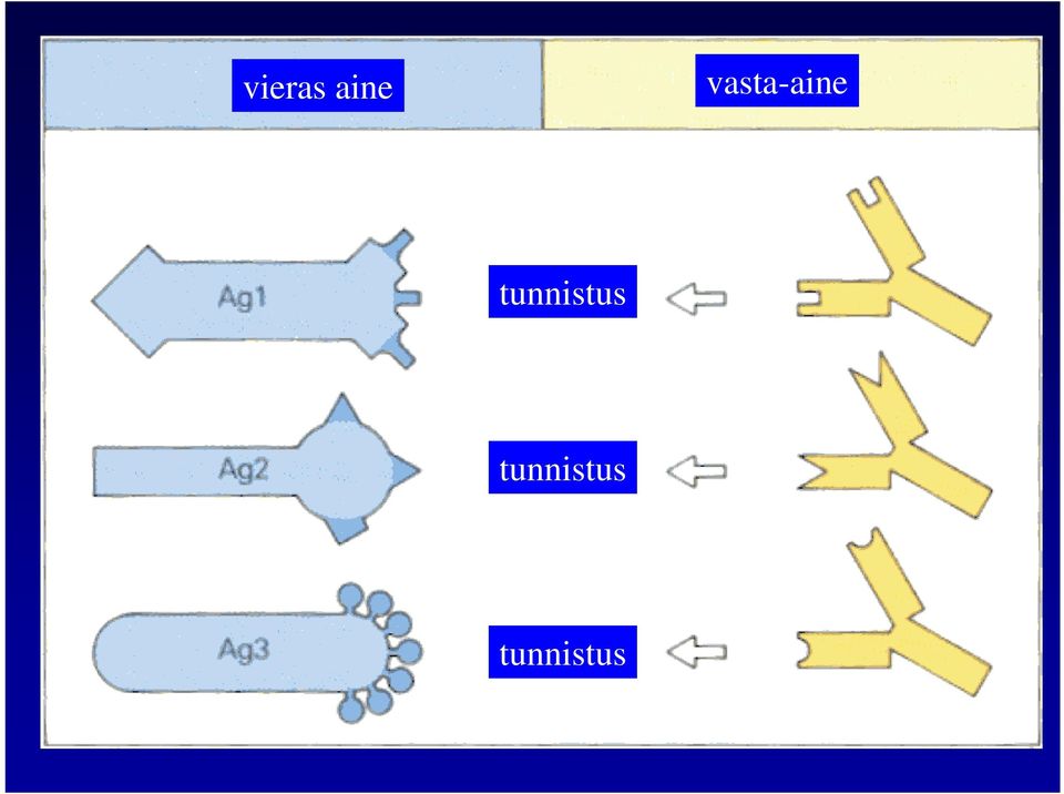 tunnistus