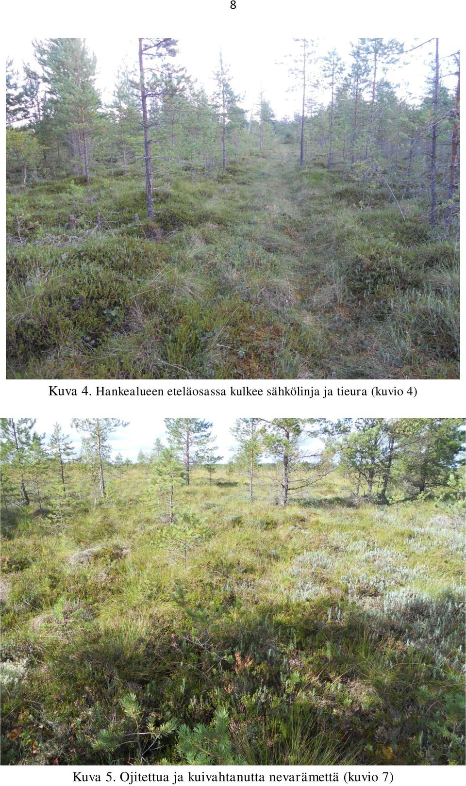 sähkölinja ja tieura (kuvio 4)