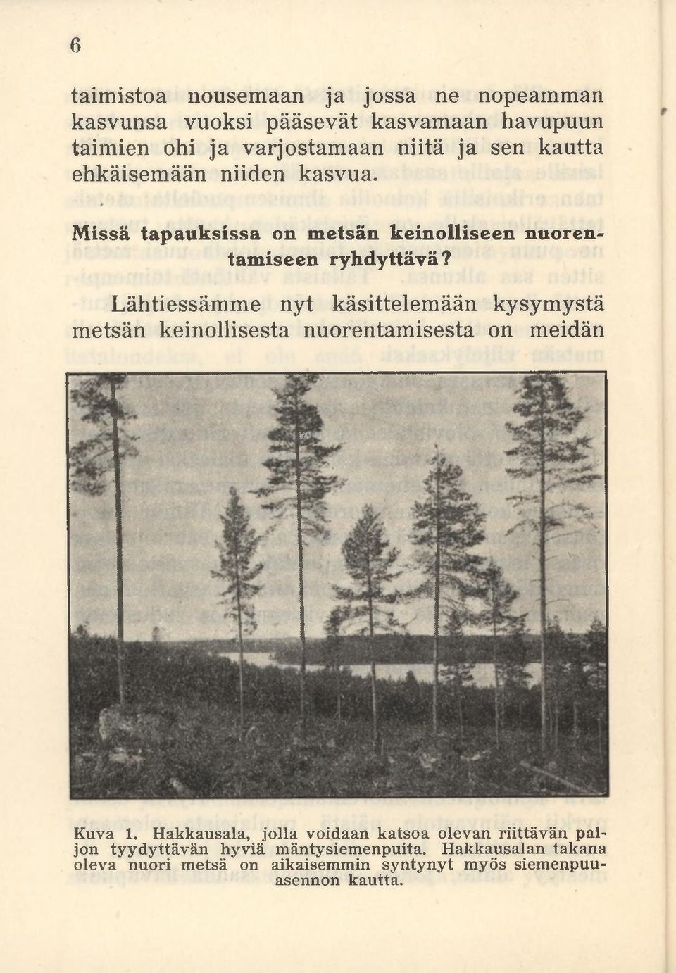 Lähtiessämme nyt käsittelemään kysymystä metsän keinollisesta nuorentamisesta on meidän Kuva 1.