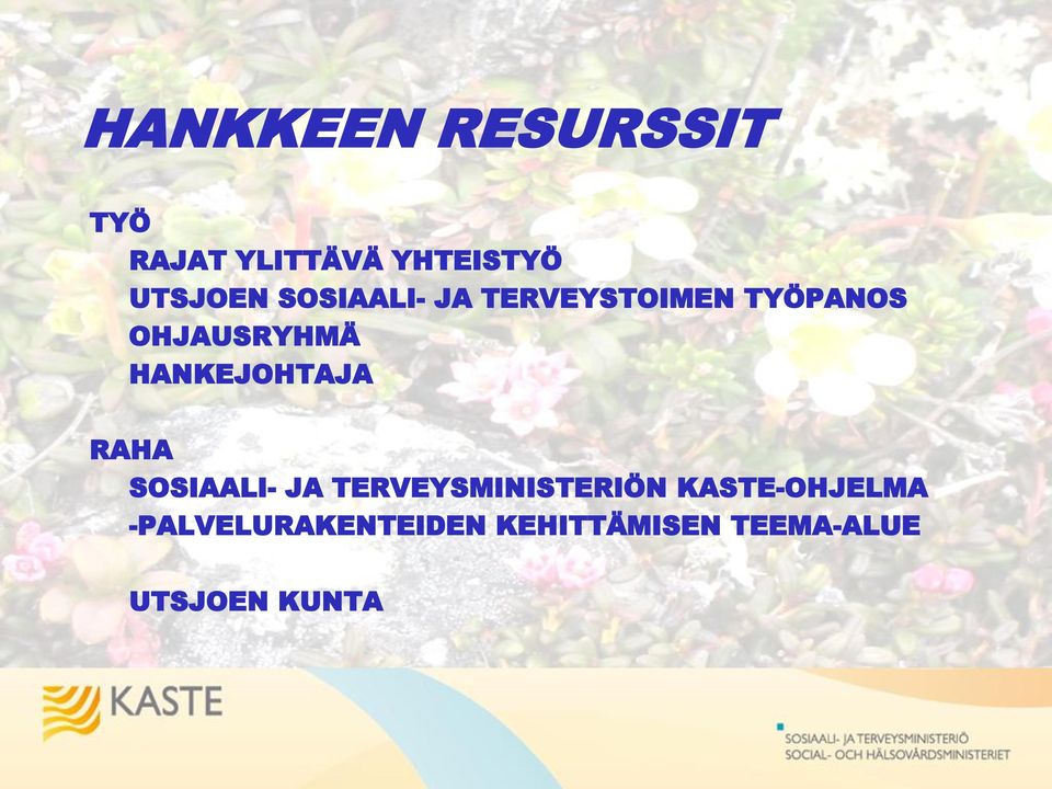 HANKEJOHTAJA RAHA SOSIAALI- JA TERVEYSMINISTERIÖN