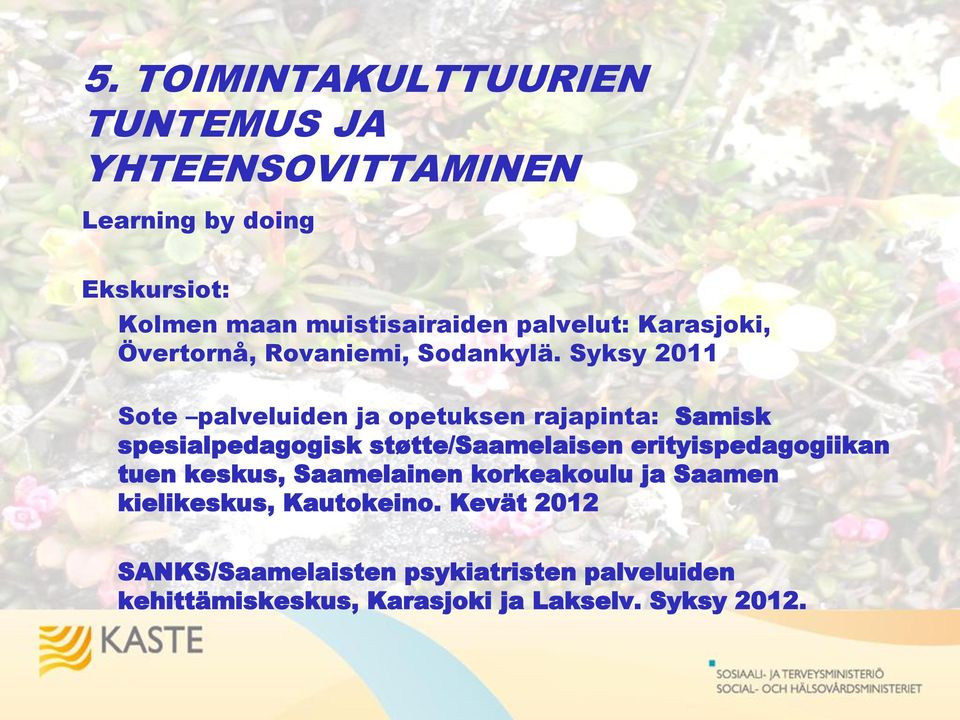 Syksy 2011 Sote palveluiden ja opetuksen rajapinta: Samisk spesialpedagogisk støtte/saamelaisen erityispedagogiikan