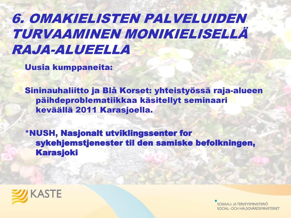 päihdeproblematiikkaa käsitellyt seminaari keväällä 2011 Karasjoella.