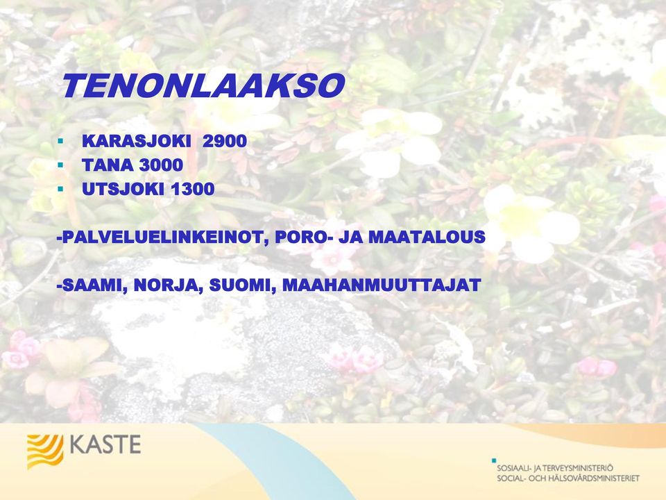 -PALVELUELINKEINOT, PORO- JA