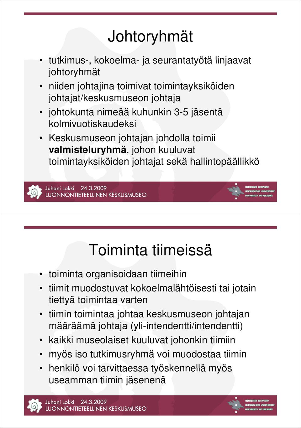 toiminta organisoidaan tiimeihin tiimit muodostuvat kokoelmalähtöisesti tai jotain tiettyä tt toimintaa i t varten tiimin toimintaa johtaa keskusmuseon johtajan määräämä johtaja