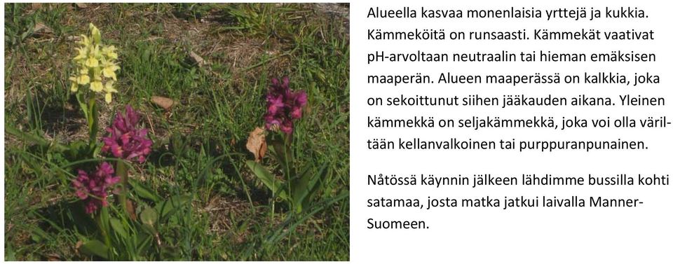 Alueen maaperässä on kalkkia, joka on sekoittunut siihen jääkauden aikana.