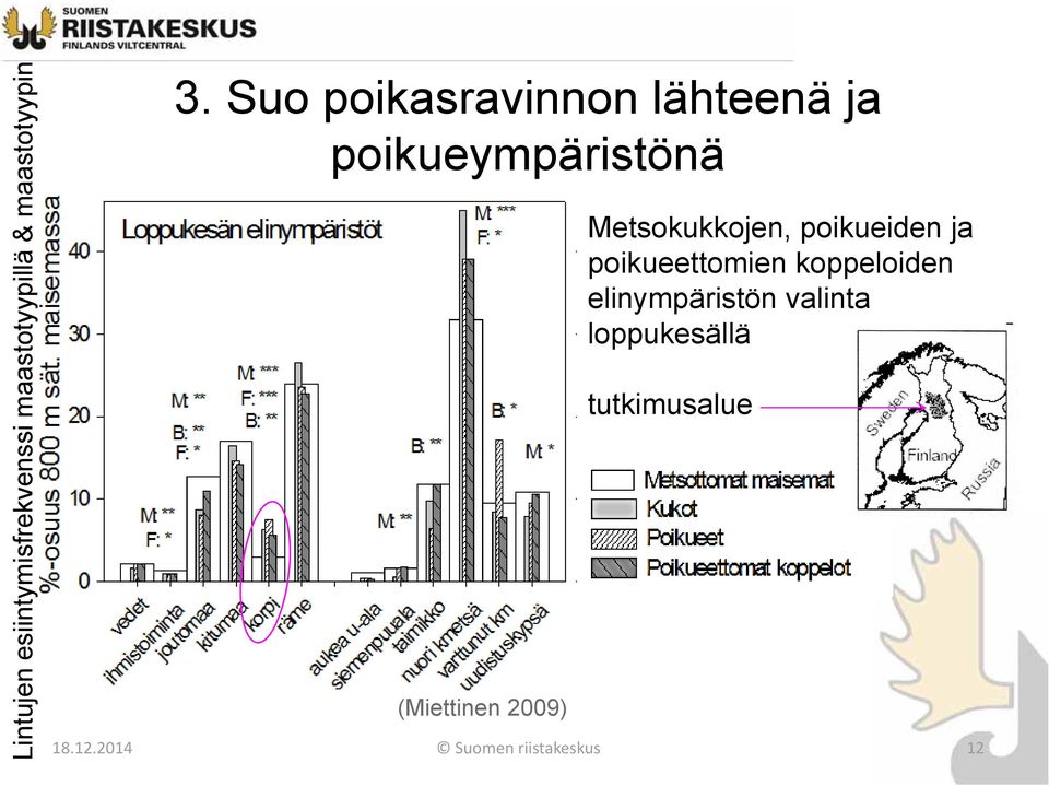 Metsokukkojen, poikueiden ja poikueettomien koppeloiden