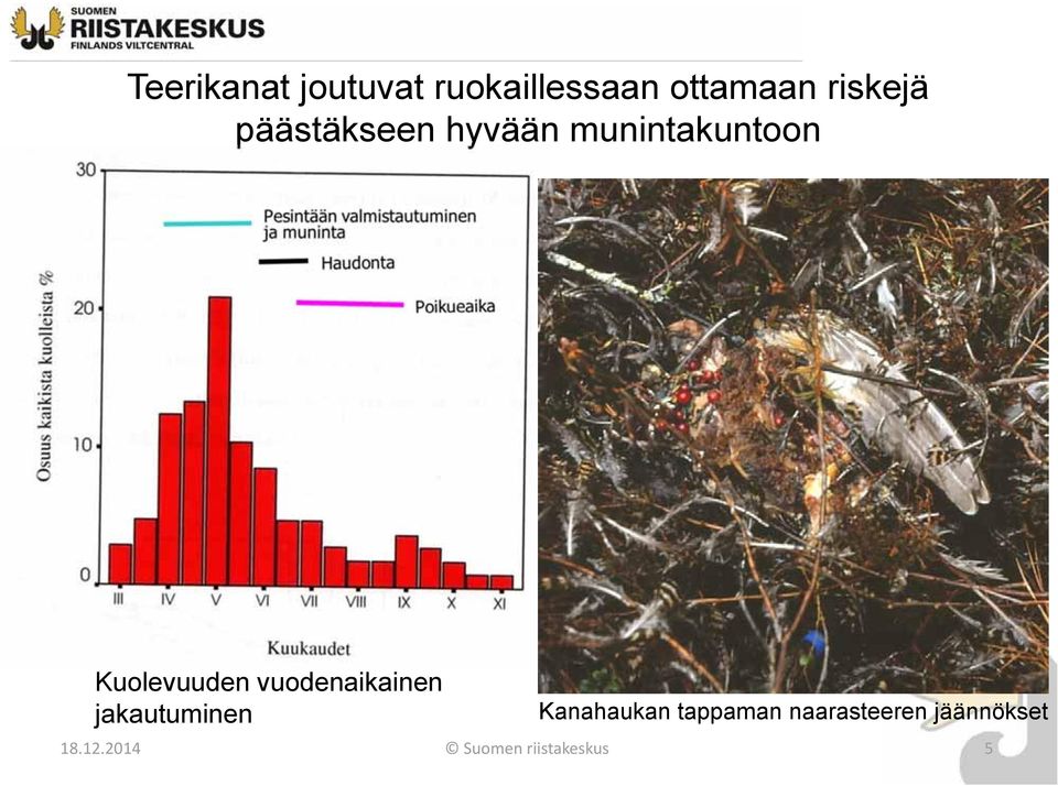 Kuolevuuden vuodenaikainen jakautuminen Kanahaukan