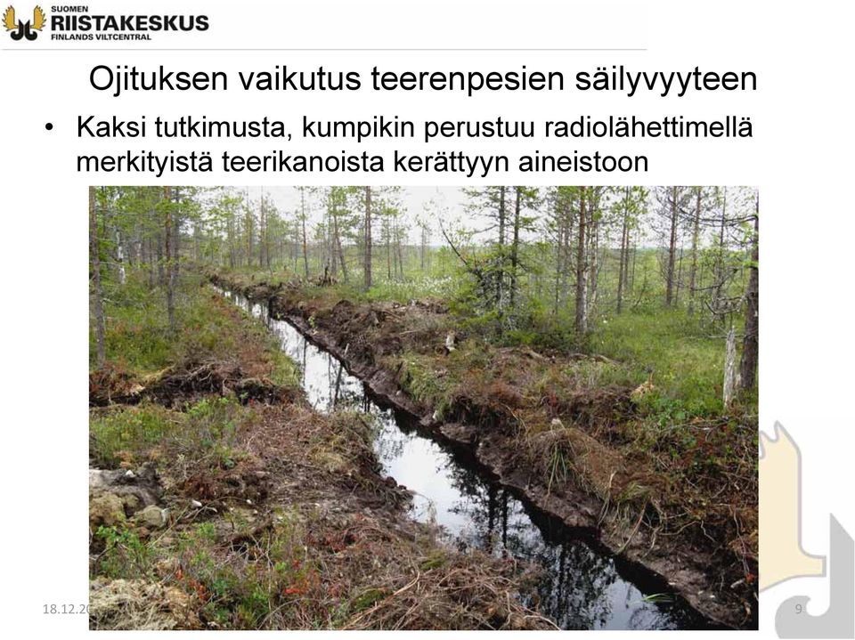 radiolähettimellä merkityistä teerikanoista