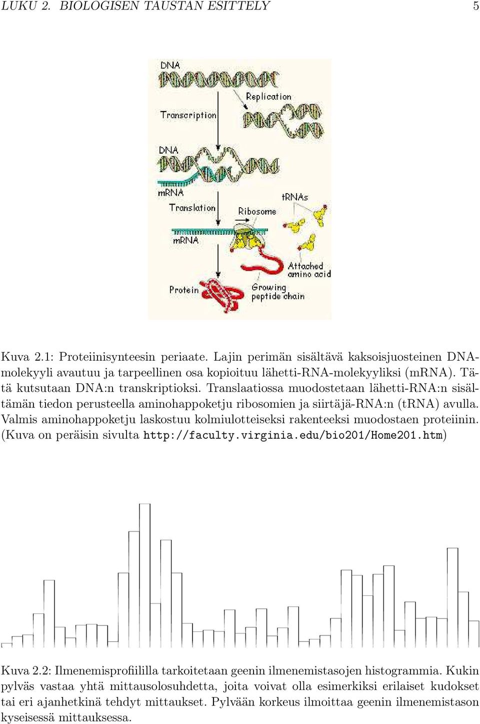 Translaatiossa muodostetaan lähetti-rna:n sisältämän tiedon perusteella aminohappoketju ribosomien ja siirtäjä-rna:n (trna) avulla.