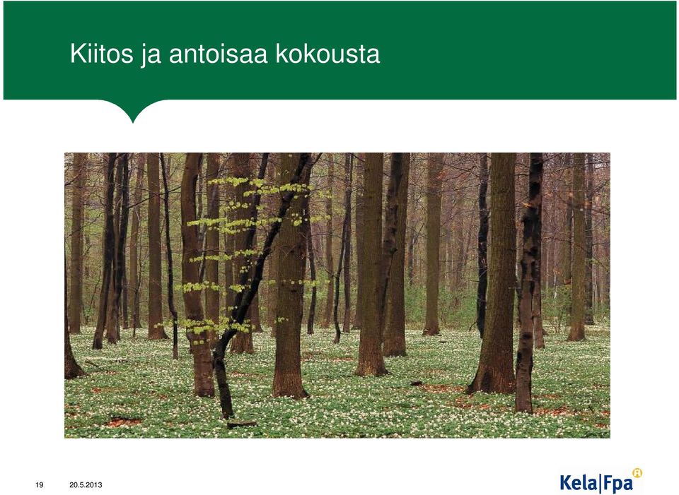 kokousta