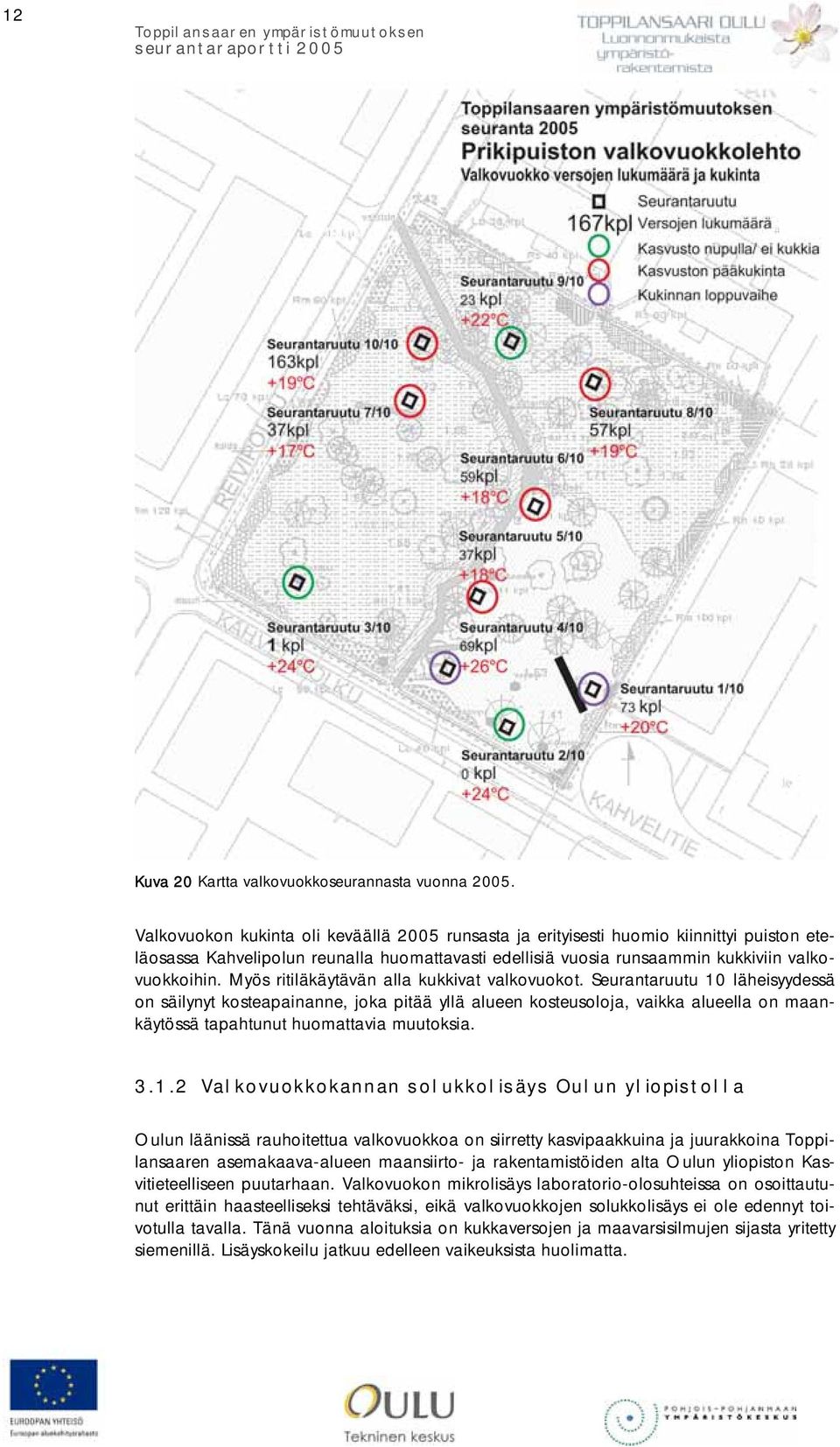 Myös ritiläkäytävän alla kukkivat valkovuokot.