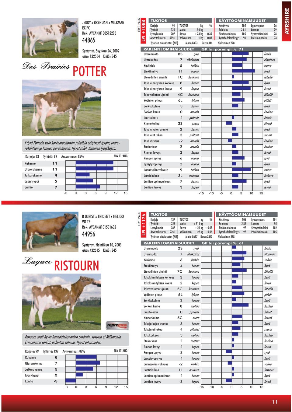 varmuus: 85% EBV 11*AUG Rakenne Utarerakenne Jalkarakenne Lypsytyyppi Lantio 11 11 4 5 7 EBV 11*AUG LPI +1088 Karjoja 91 kg % Kestävyys 105 Lypsynopeus 96 Tyttäriä 126 Maito -50 kg Soluluku 2.