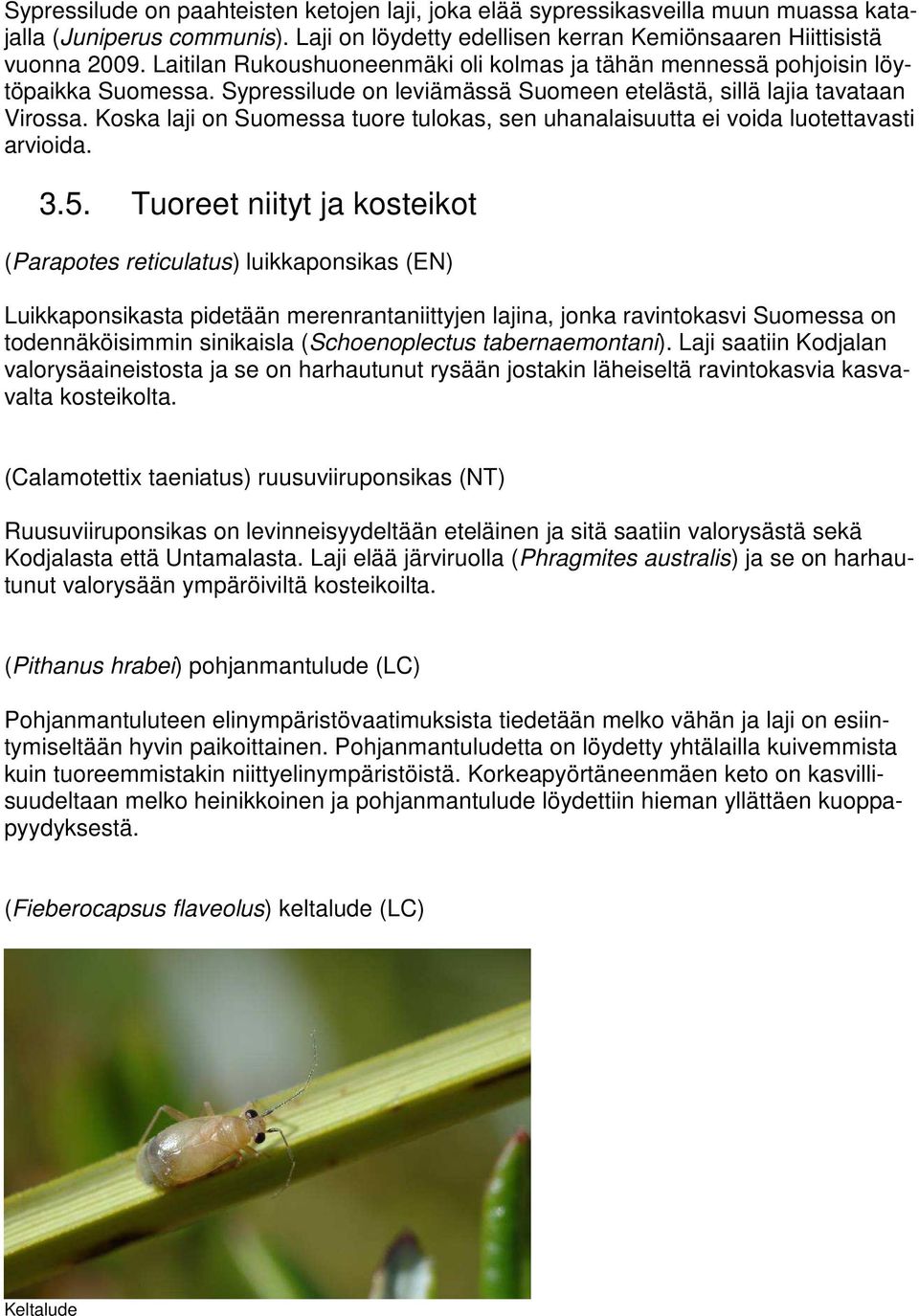 Koska laji on Suomessa tuore tulokas, sen uhanalaisuutta ei voida luotettavasti arvioida. 3.5.