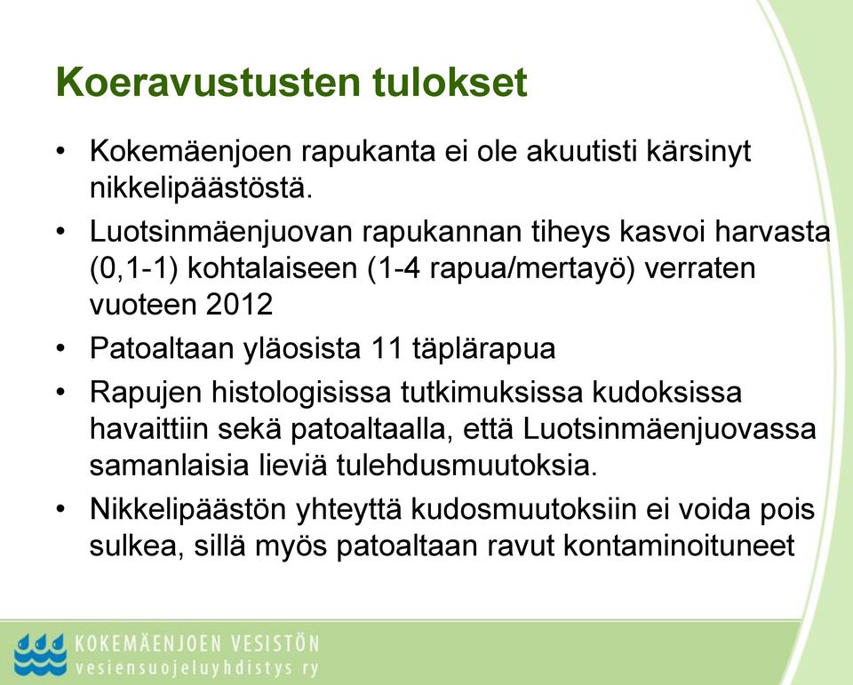 Patoaltaan yläosista 11 täplärapua Rapujen histologisissa tutkimuksissa kudoksissa havaittiin sekä patoaltaalla, että