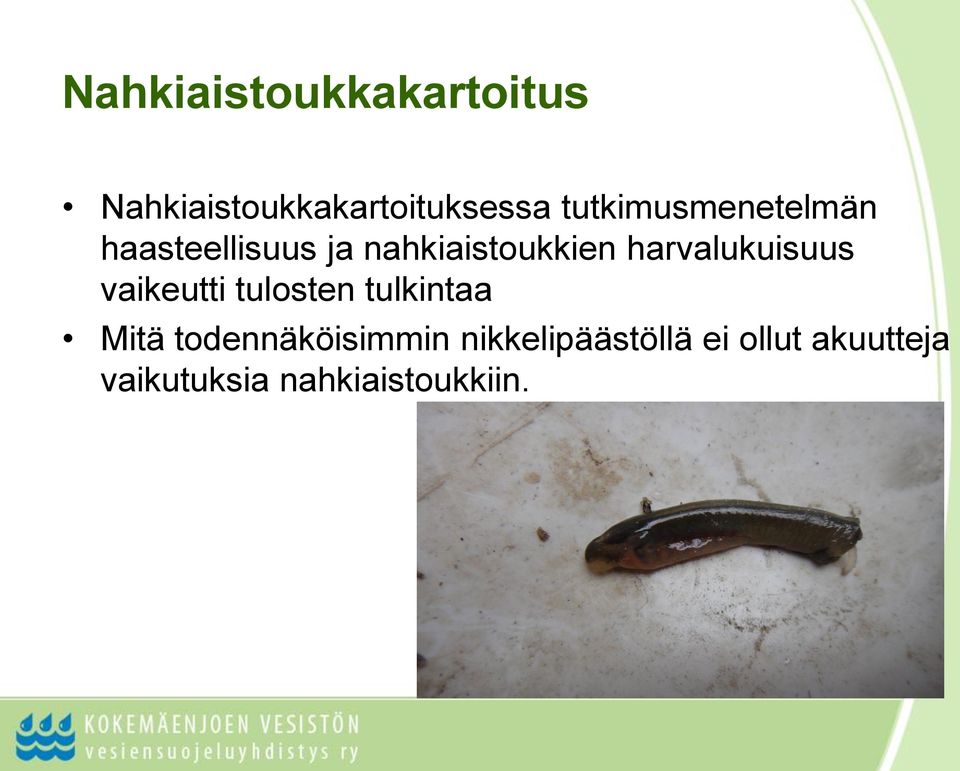 harvalukuisuus vaikeutti tulosten tulkintaa Mitä