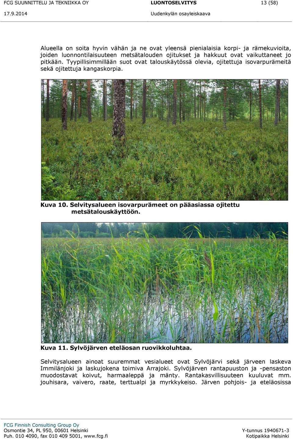 Selvitysalueen isovarpurämeet on pääasiassa ojitettu metsätalouskäyttöön. Kuva 11. Sylvöjärven eteläosan ruovikkoluhtaa.