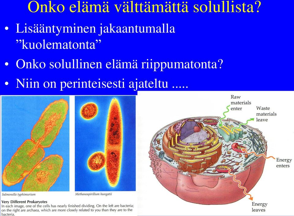 kuolematonta Onko solullinen elämä