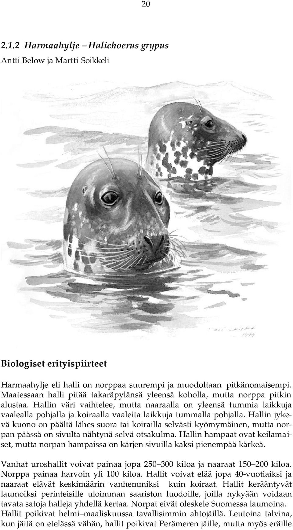 Hallin väri vaihtelee, mutta naaraalla on yleensä tummia laikkuja vaalealla pohjalla ja koiraalla vaaleita laikkuja tummalla pohjalla.