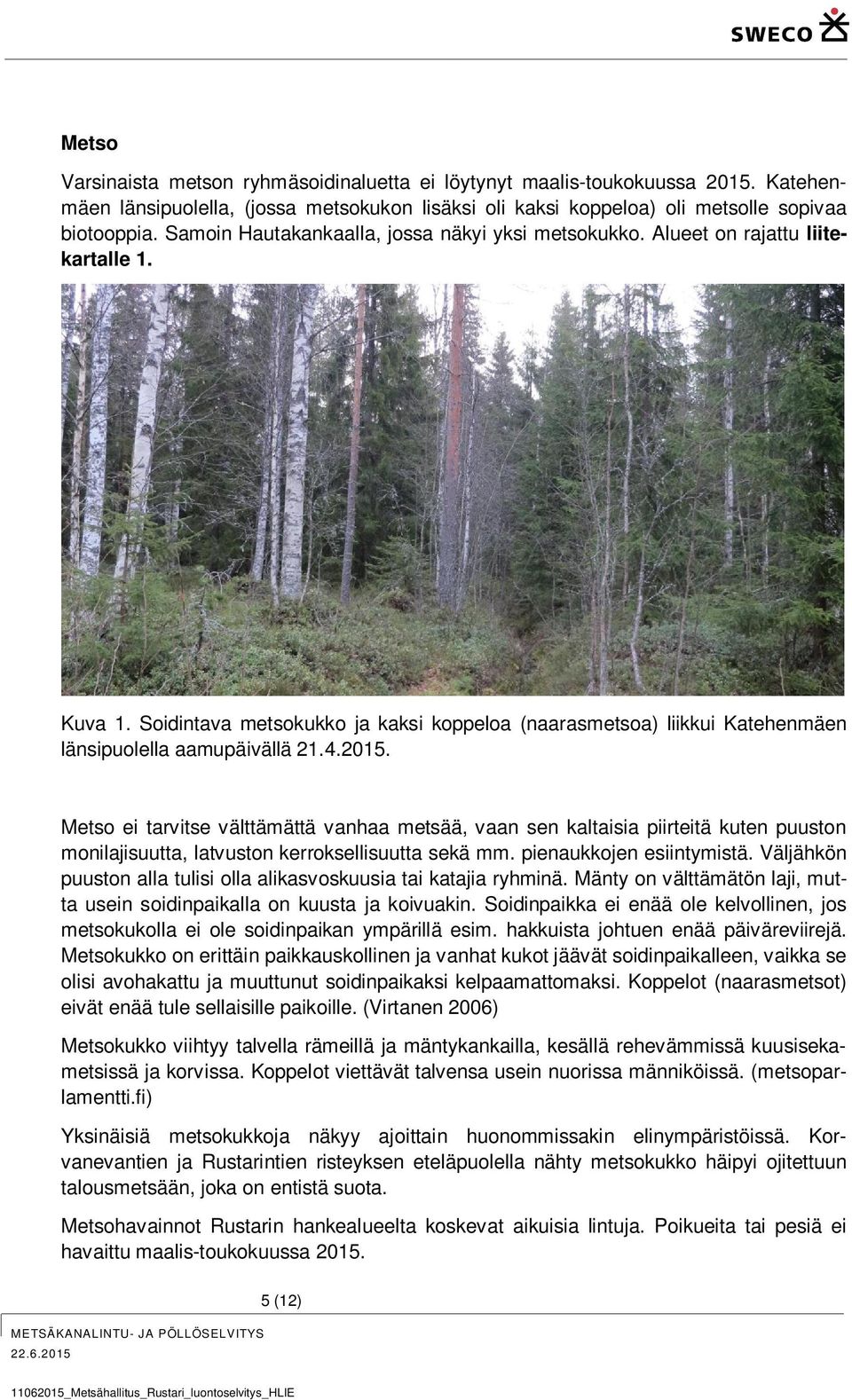 4.2015. Metso ei tarvitse välttämättä vanhaa metsää, vaan sen kaltaisia piirteitä kuten puuston monilajisuutta, latvuston kerroksellisuutta sekä mm. pienaukkojen esiintymistä.