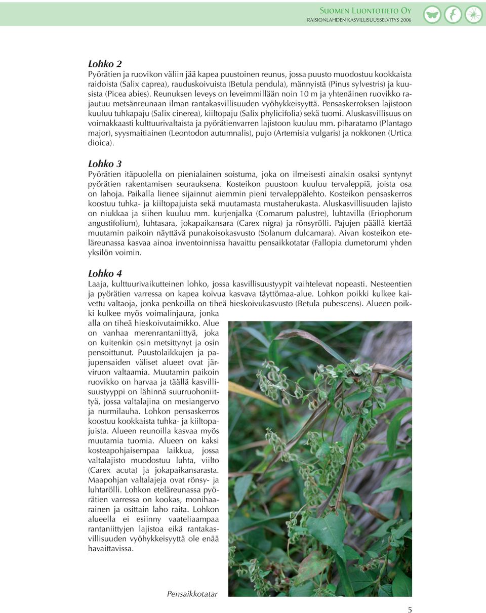 Pensaskerroksen lajistoon kuuluu tuhkapaju (Salix cinerea), kiiltopaju (Salix phylicifolia) sekä tuomi. Aluskasvillisuus on voimakkaasti kulttuurivaltaista ja pyörätienvarren lajistoon kuuluu mm.