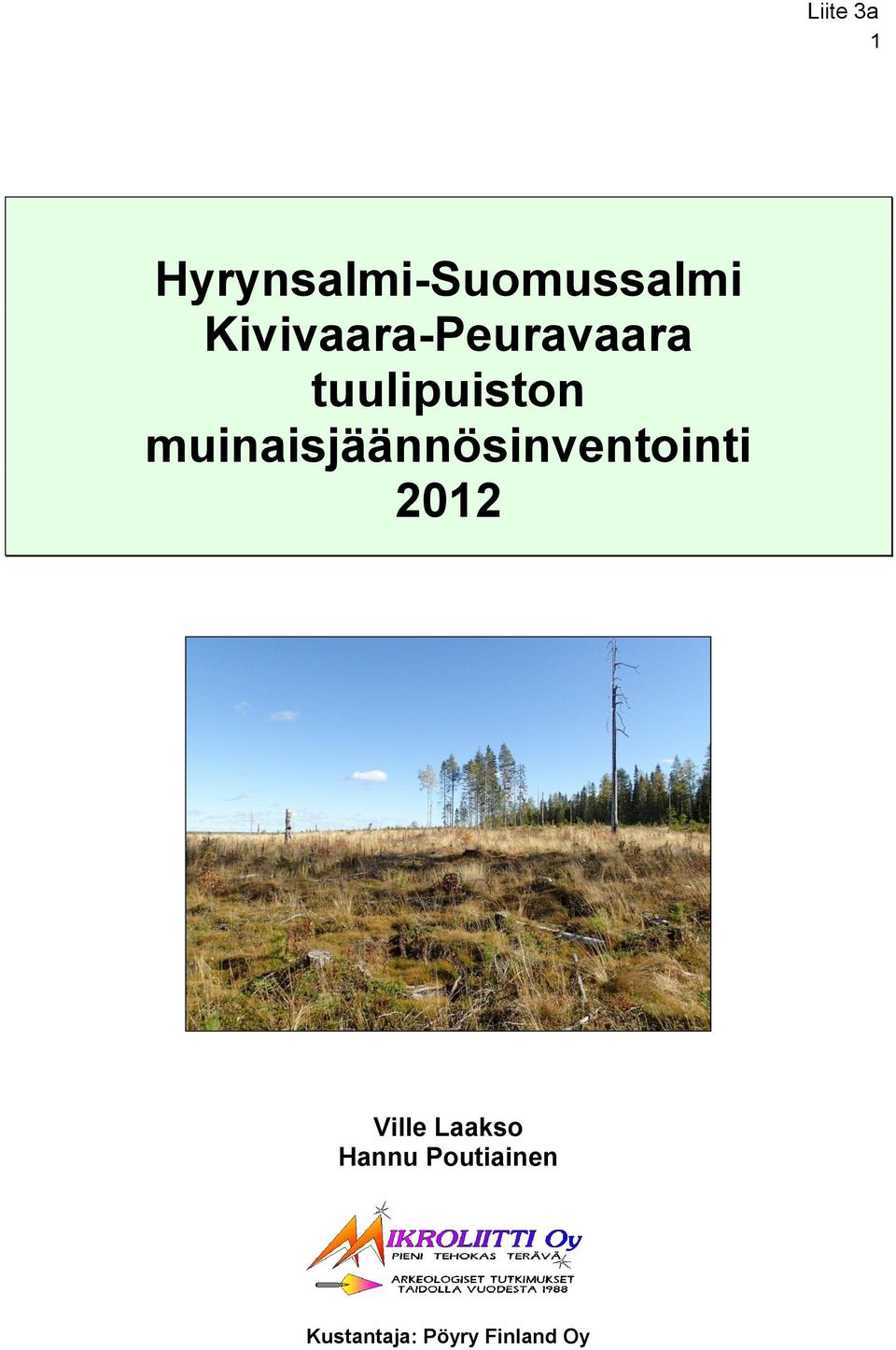 muinaisjäännösinventointi 2012 Ville