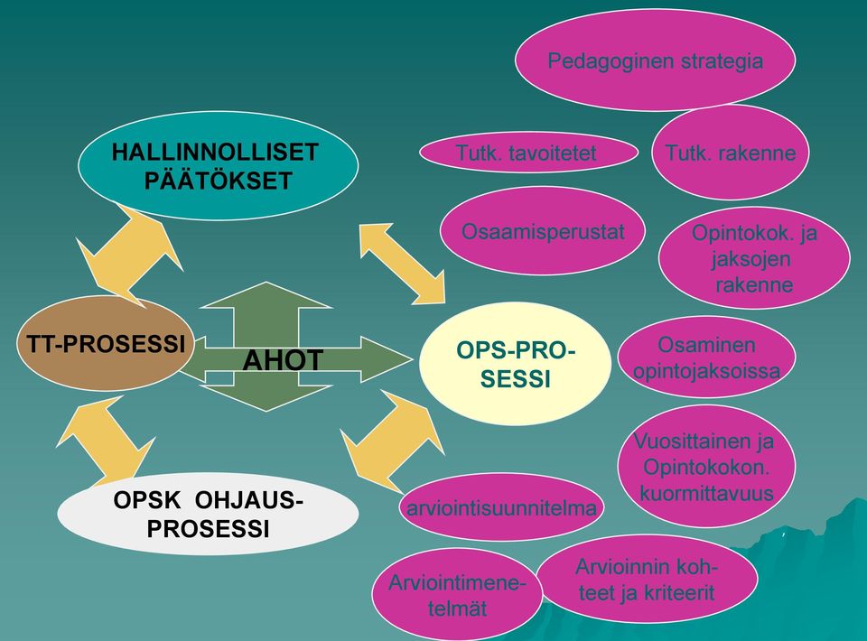 ja jaksojen rakenne TT-PROSESSI AHOT OPS-PRO- SESSI Osaminen opintojaksoissa