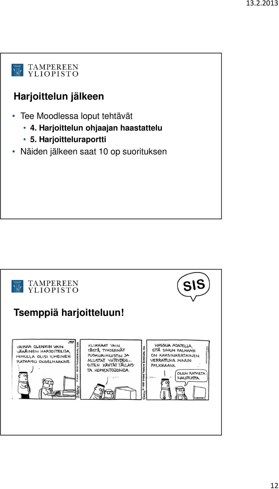 Harjoittelun ohjaajan haastattelu 5.