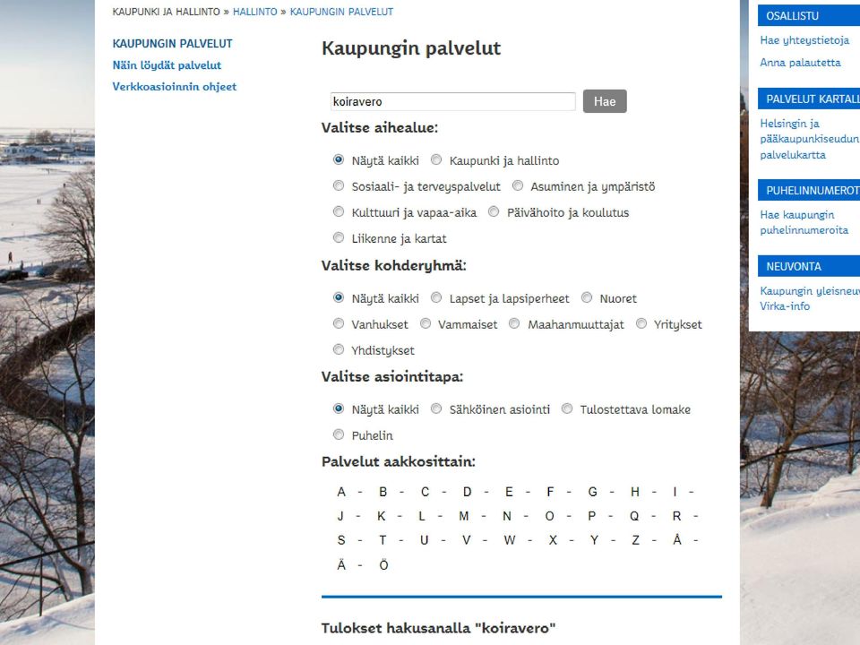 rajapinnan käytöstä