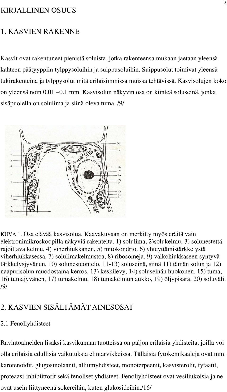 Kasvisolun näkyvin osa on kiinteä soluseinä, jonka sisäpuolella on solulima ja siinä oleva tuma. /9/ KUVA 1. Osa elävää kasvisolua.