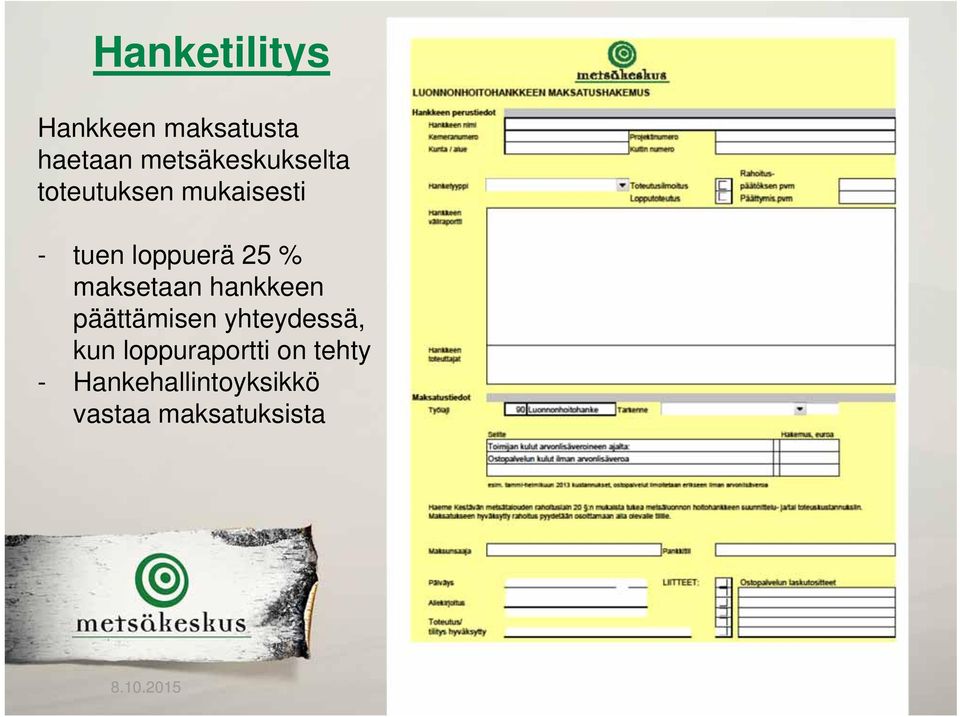 loppuerä 25 % maksetaan hankkeen päättämisen