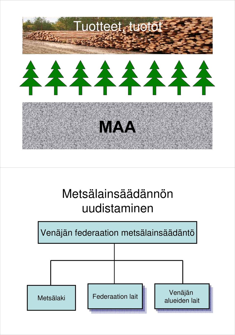 federaation metsälainsäädäntö