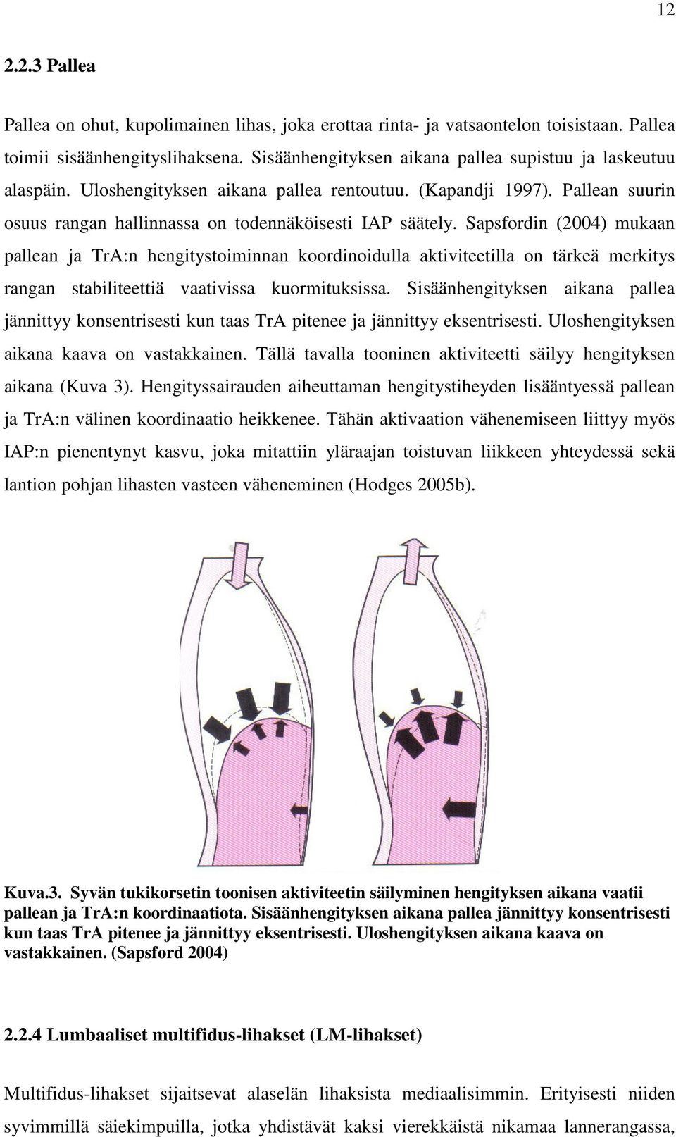 Sapsfordin (2004) mukaan pallean ja TrA:n hengitystoiminnan koordinoidulla aktiviteetilla on tärkeä merkitys rangan stabiliteettiä vaativissa kuormituksissa.