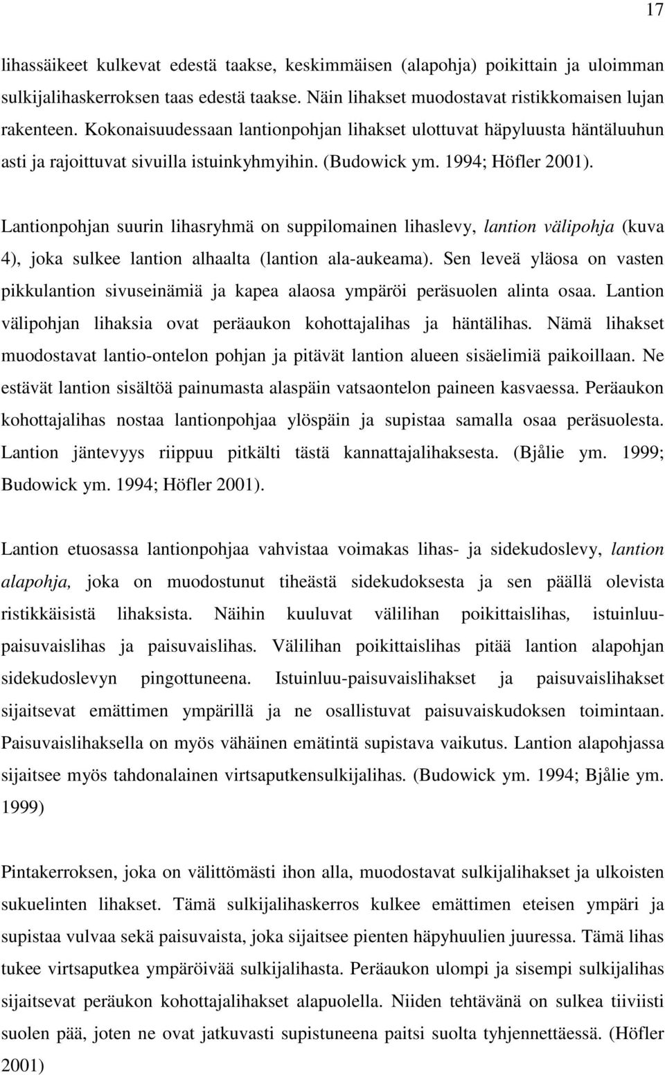 Lantionpohjan suurin lihasryhmä on suppilomainen lihaslevy, lantion välipohja (kuva 4), joka sulkee lantion alhaalta (lantion ala-aukeama).