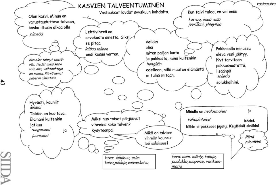 vahapintaiset rungossani juurissani kuva: lehtipuu, esim.